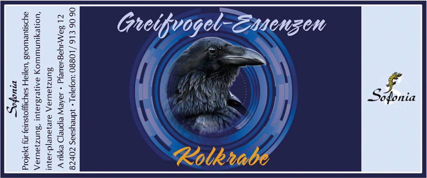 Kolkrabe