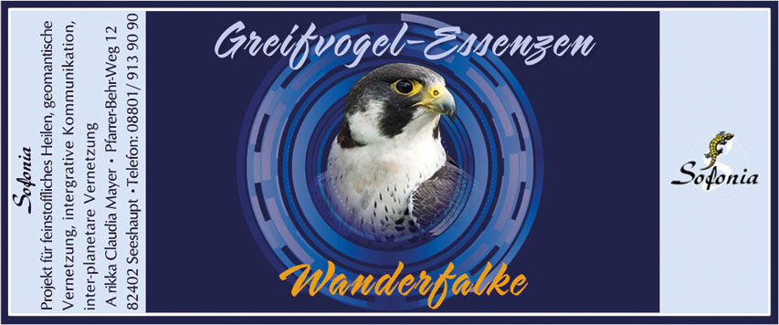 Wanderfalke_10 ml
